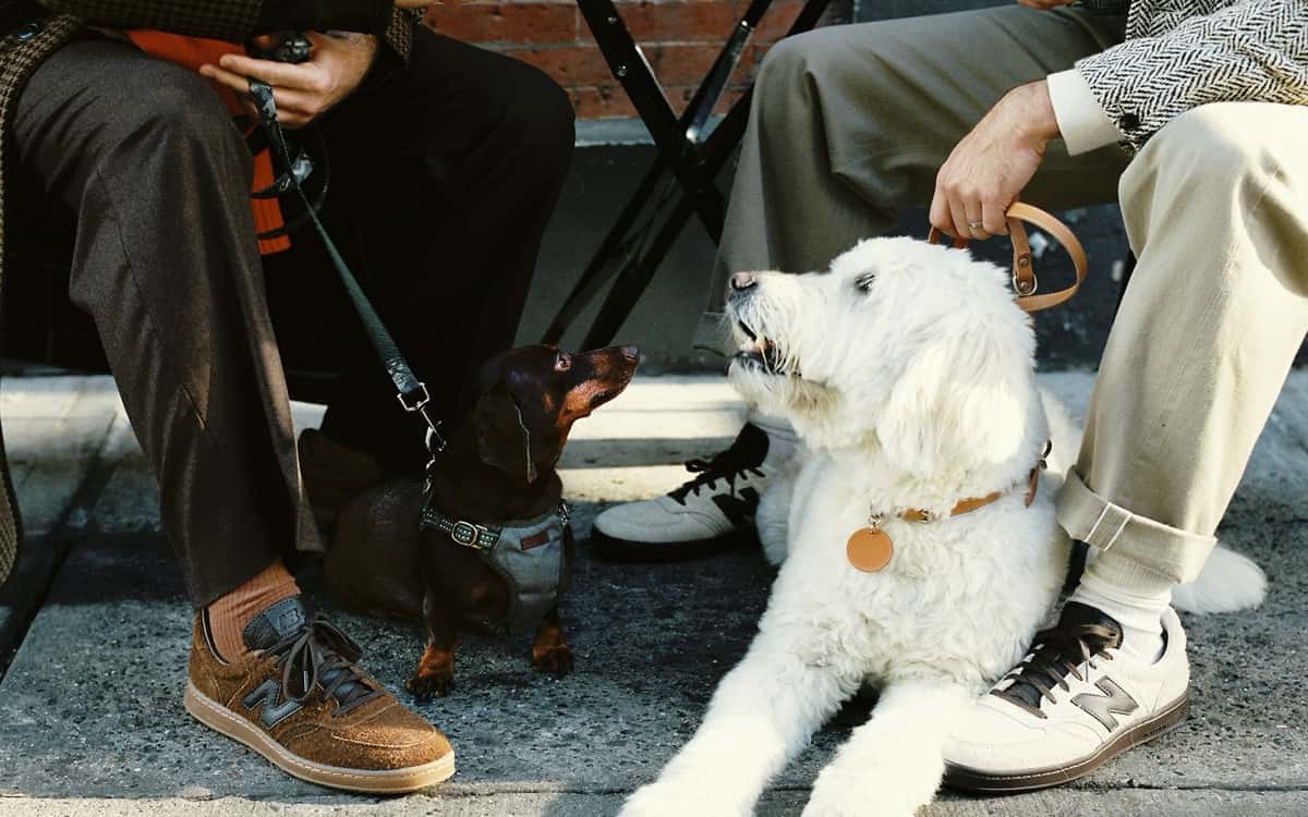 Dos personas sentadas en la vereda con zapatillas New Balance T500 de Todd Snyder, una en marrón y otra en crudo, junto a un perro blanco de pelo largo y un perro salchicha negro